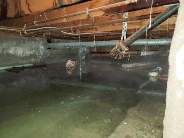 Best Water damage contractors near me  in Mableton, GA