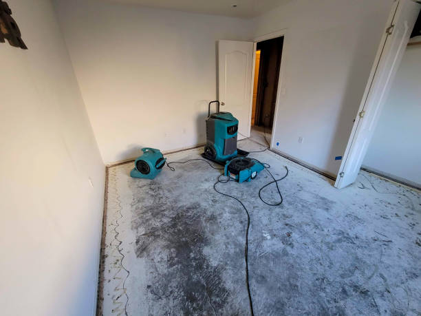 Best Local water damage restoration  in Mableton, GA