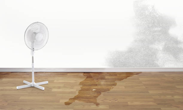 Best Water damage cleanup near me  in Mableton, GA