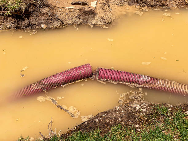Best Water damage restoration specialists  in Mableton, GA
