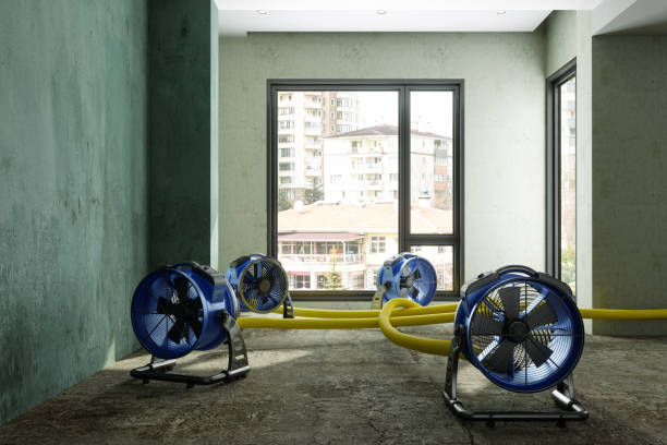 Best Water damage cleanup near me  in Mableton, GA